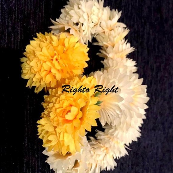 Meet your Posher, Zara - Picture 1 of 1